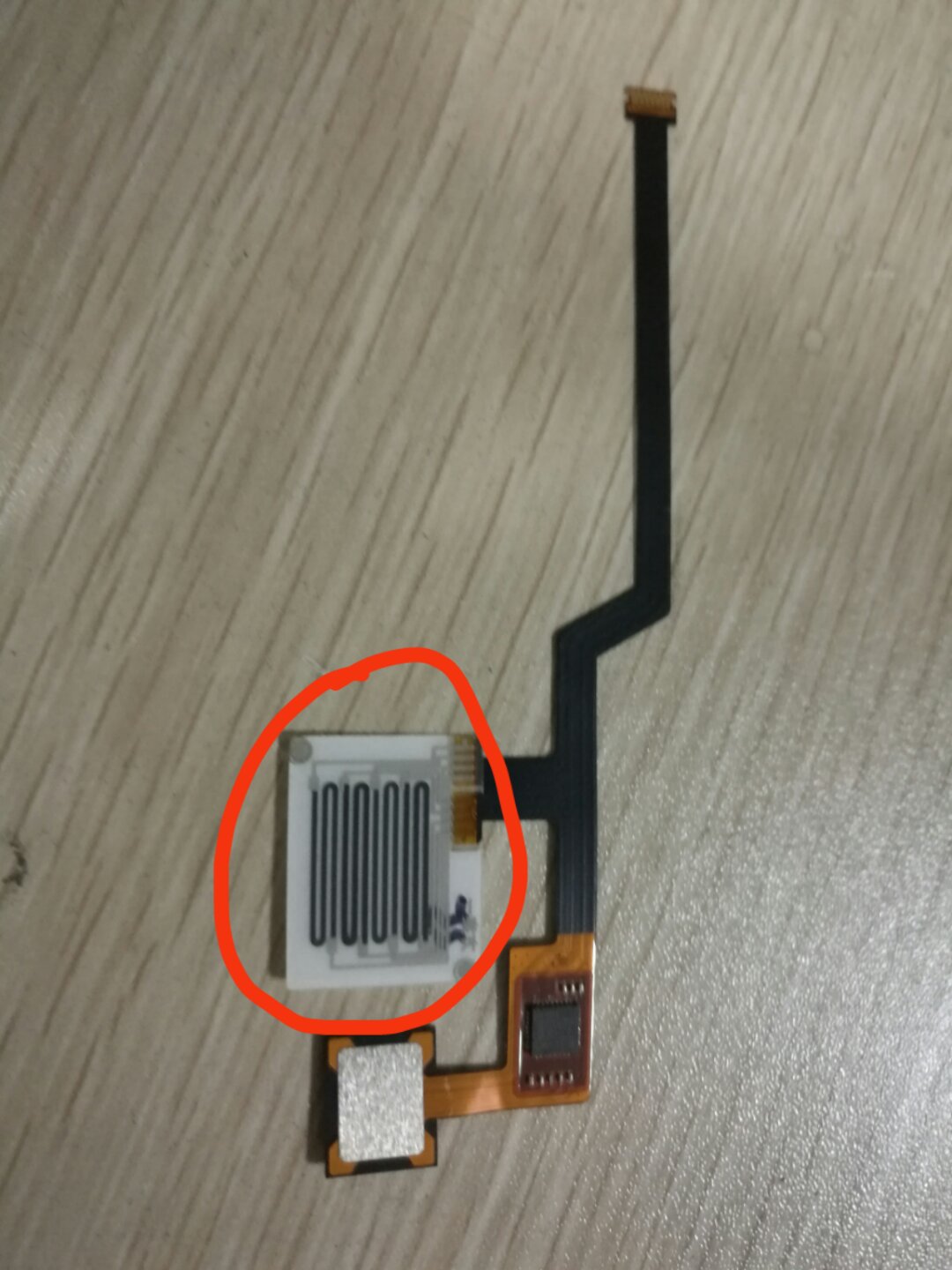 微信图片_2018071810051229.jpg